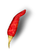 chilli